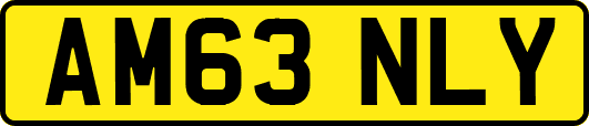 AM63NLY