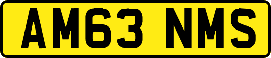 AM63NMS