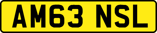 AM63NSL
