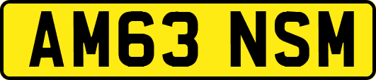 AM63NSM