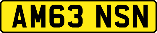 AM63NSN