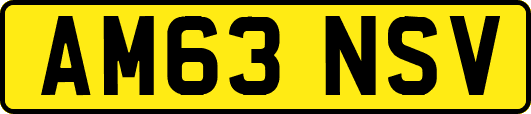 AM63NSV