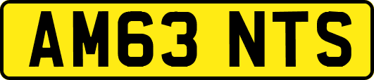AM63NTS
