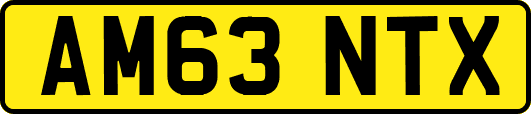 AM63NTX