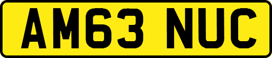 AM63NUC
