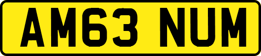 AM63NUM