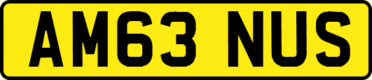 AM63NUS