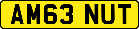 AM63NUT