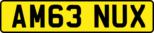 AM63NUX
