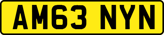 AM63NYN
