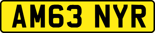 AM63NYR