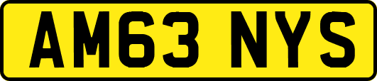 AM63NYS