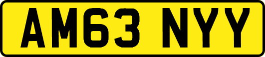 AM63NYY