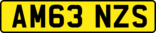 AM63NZS