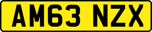 AM63NZX