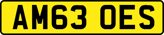 AM63OES