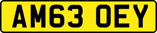AM63OEY