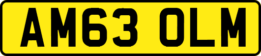 AM63OLM