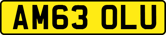 AM63OLU