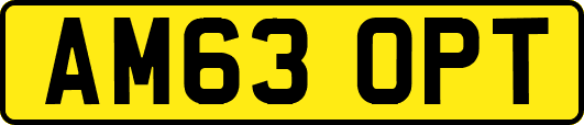 AM63OPT