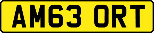 AM63ORT
