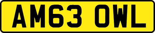 AM63OWL