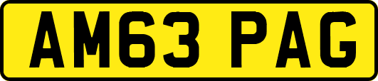 AM63PAG