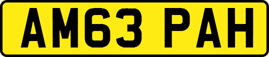 AM63PAH