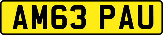 AM63PAU