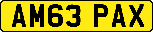 AM63PAX