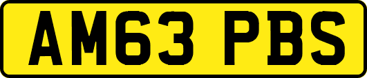 AM63PBS
