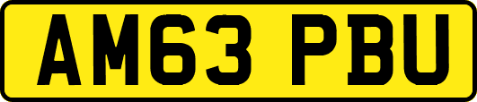 AM63PBU
