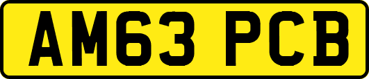 AM63PCB