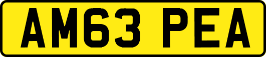 AM63PEA