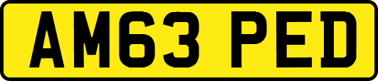 AM63PED