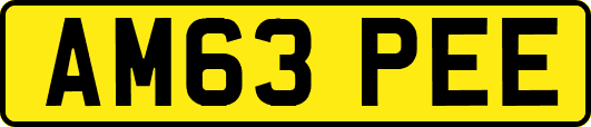 AM63PEE