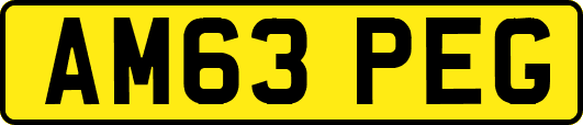 AM63PEG