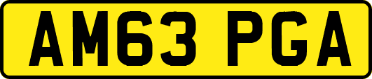 AM63PGA