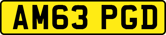 AM63PGD