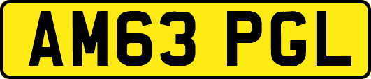 AM63PGL