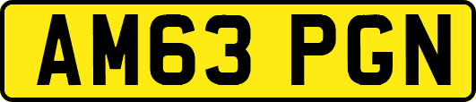 AM63PGN