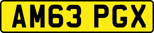 AM63PGX