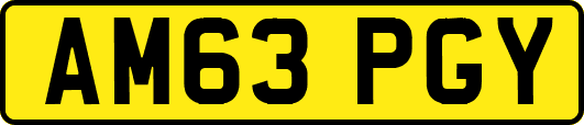 AM63PGY