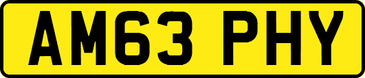 AM63PHY