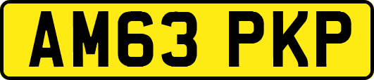 AM63PKP