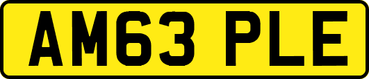 AM63PLE