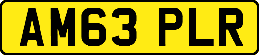 AM63PLR