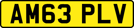 AM63PLV
