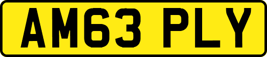 AM63PLY