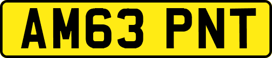 AM63PNT